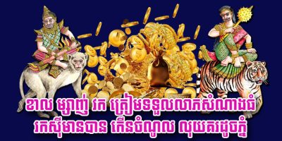 e45ee7ce7e88149af8dd32b27f9512ce-5.jpg