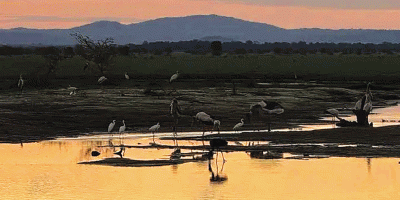 mudancas-climaticas.gif