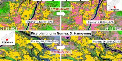 north-korea-rice-transplanting-east-coast.jpg