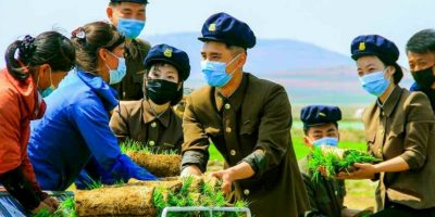 north-korea-students-rice-farming-south-pyongan-province.jpg