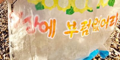north-korean-plastic-bag-stitched-yeonpyeong-island-1.jpg