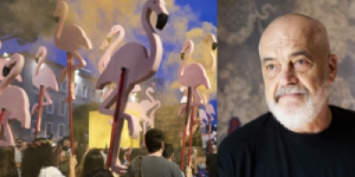 rama_flamingo-300x187.png
