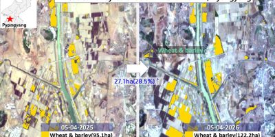sentinel-2-wheat-barley-chonnam-ri-pyongyang-2025-2026.jpg