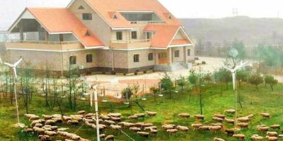 sepho-tableland-livestock-base-kangwon-province-north-korea.jpg