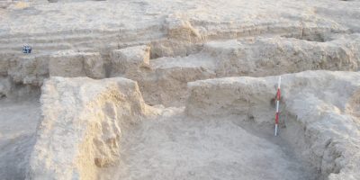unnamed-file-47.jpg