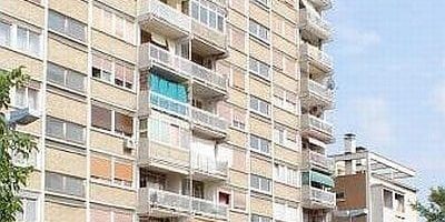 y244070541474009.jpg